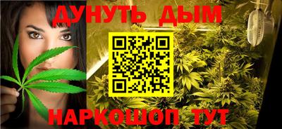 крисы Будённовск