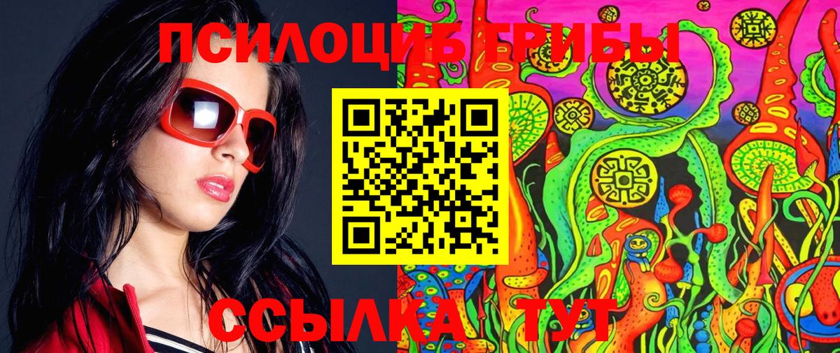 Псилоцибиновые грибы Cubensis Невинномысск
